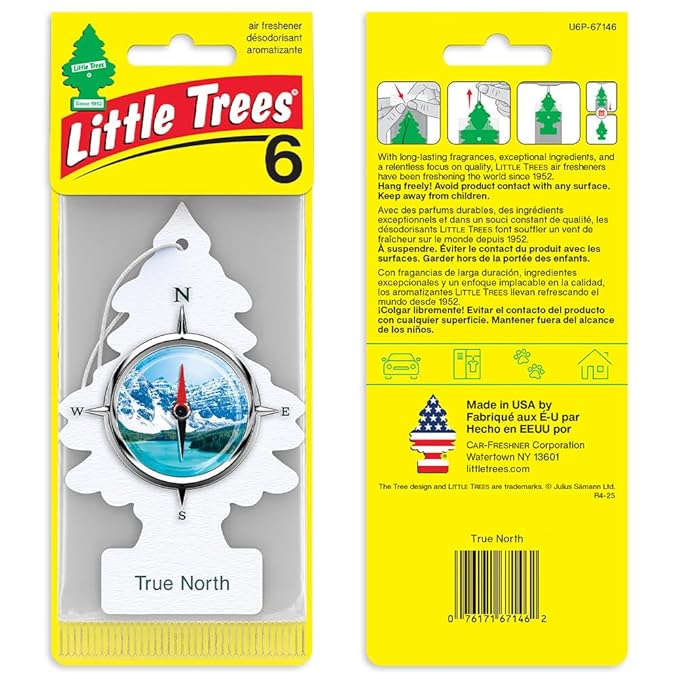 LITTLE TREES Car Air Freshener | Hanging Tree Provides Long Lasting Scent for Auto and Home | True North, 24 Air Fresheners