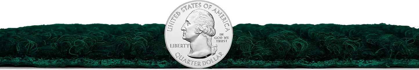 KOECKRITZ Heavy Duty Durable All Weather Indoor/Outdoor Non Slip Entrance Mat Rugs and Runners for Office Business Building Home Garage Front Door (4' x 18', Green)