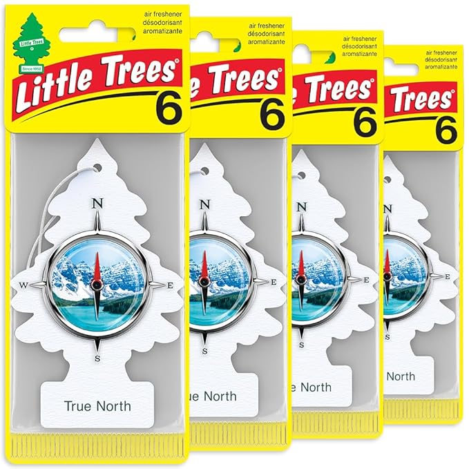 LITTLE TREES Car Air Freshener | Hanging Tree Provides Long Lasting Scent for Auto and Home | True North, 24 Air Fresheners