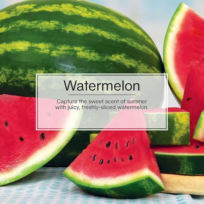LITTLE TREES Car Air Freshener | Hanging Tree Provides Long Lasting Scent for Auto and Home | Watermelon, 24 Air Fresheners