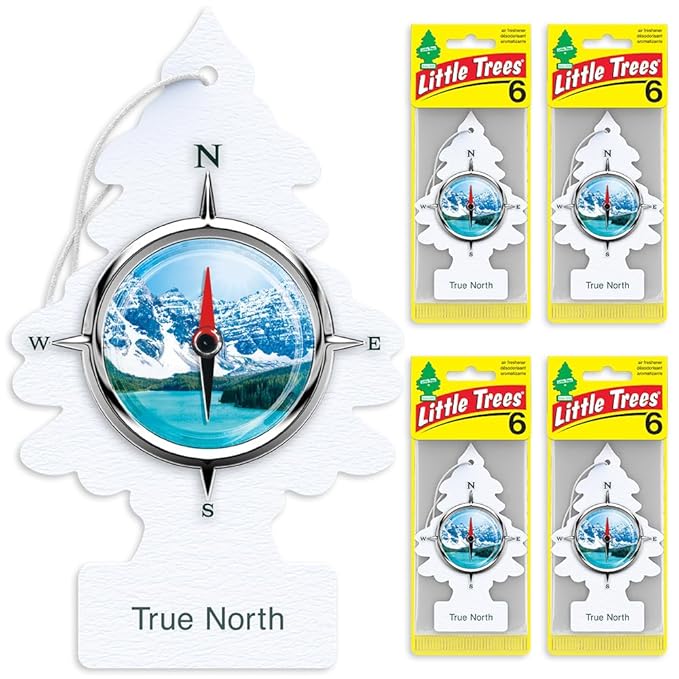 LITTLE TREES Car Air Freshener | Hanging Tree Provides Long Lasting Scent for Auto and Home | True North, 24 Air Fresheners