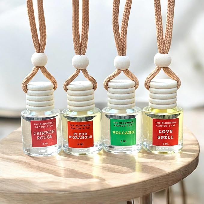4 Pack Air fresheners | Long lasting car air fresheners, Hand-made in USA | Small room diffuser | Small Business Woman Owned. (8 ml Delightful & Elegant Pack Mix)