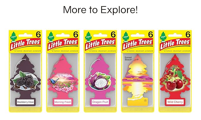 LITTLE TREES Car Air Freshener | Hanging Tree Provides Long Lasting Scent for Auto and Home | Cherry Blossom, 24 Air Fresheners
