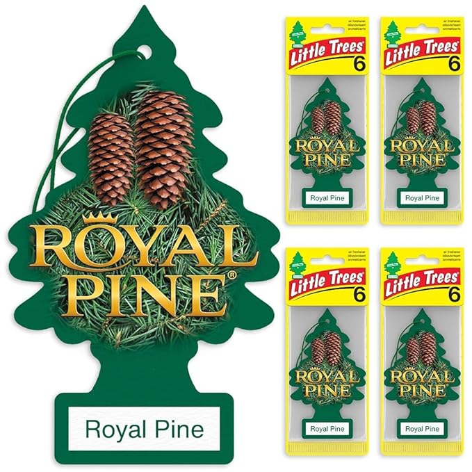 LITTLE TREES Car Air Freshener | Hanging Tree Provides Long Lasting Scent for Auto and Home | Royal Pine, 24 Air Fresheners