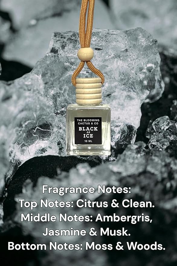 4 Pack Air fresheners | Long lasting car air fresheners, Hand-made in USA | Small room diffuser | Small Business Woman Owned. (10 ml Black Ice (Type) set of 4)