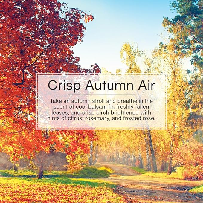 Little Trees Car Air Freshener | Hanging Tree Provides Long Lasting Scent for Auto and Home | Crisp Autumn Air, 24 Air Fresheners