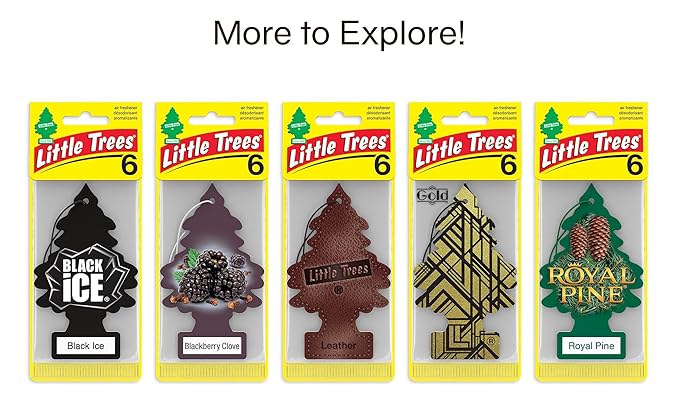 LITTLE TREES Car Air Freshener | Hanging Tree Provides Long Lasting Scent for Auto and Home | No Smoking, 24 Air Fresheners