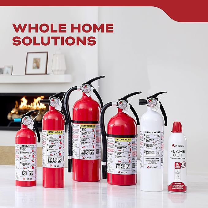 Kidde Fire Extinguisher for Home, For Residential and Living Area Use, 2A10BC