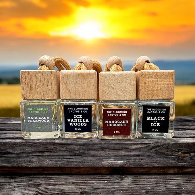 4 Pack Air fresheners | Long lasting car air fresheners, Hand-made in USA | Small room diffuser | Small Business Woman Owned. (Fresh & Earthy Mix SQ)
