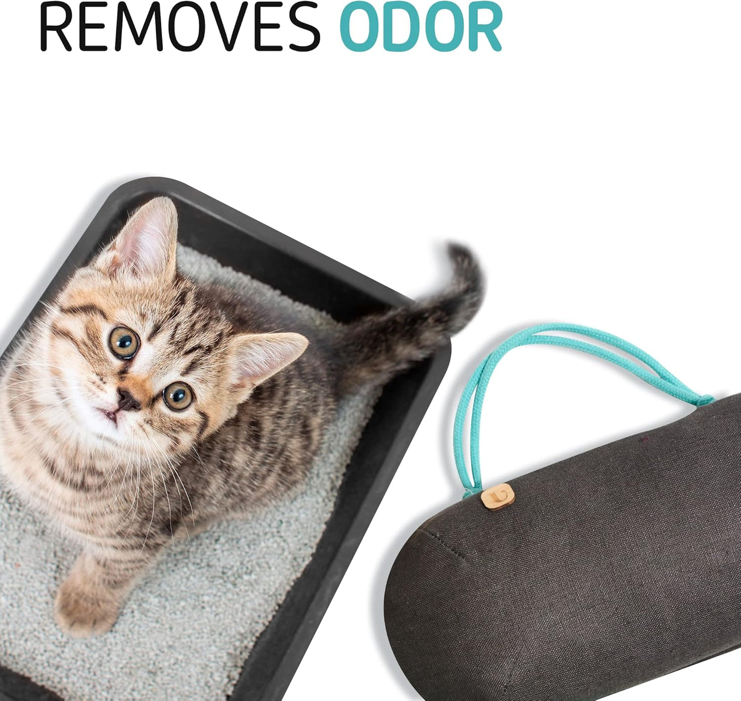 Car Air Freshener - Lasts 365+ Days No Chemicals 100% Activated Bamboo Charcoal Fragrance-Free Deodorizer, Natural Auto Odor Eliminator, Purifier, Neutralizer, Absorb Smoke Smell