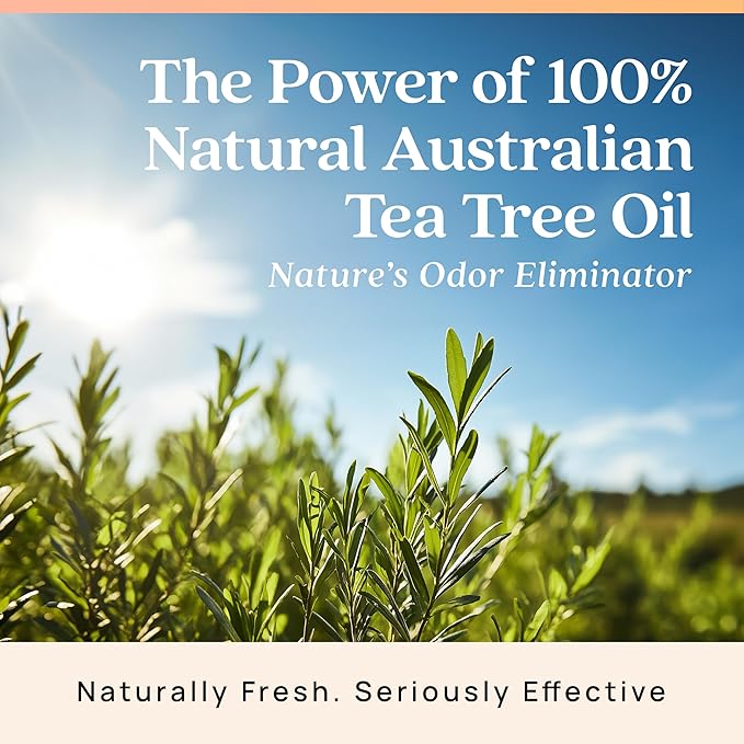 Azuna Air Freshener & Odor Eliminator Gel Refill Pouch - Simply Citrus, 12 oz