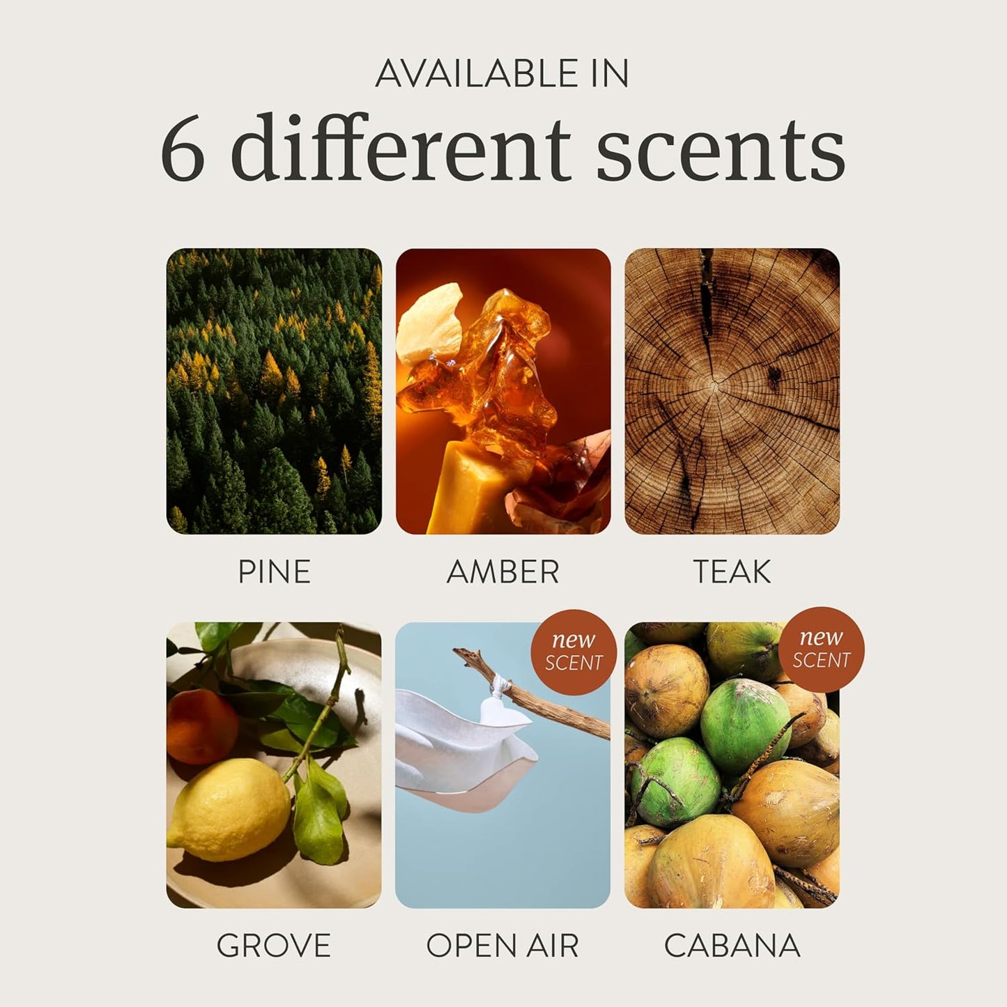 Drift Car Air Freshener - Wood Fragrance - Automotive Odor Eliminator - Long Lasting Scent - Teak Scent Refill - Pack of 3 - NO CLIP INCLUDED