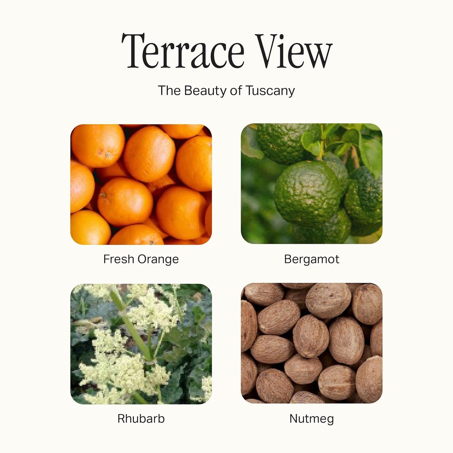 The All Purpose Cleaner Multi Surface Spray, Lifts Away Dirt, Smudges & Grease