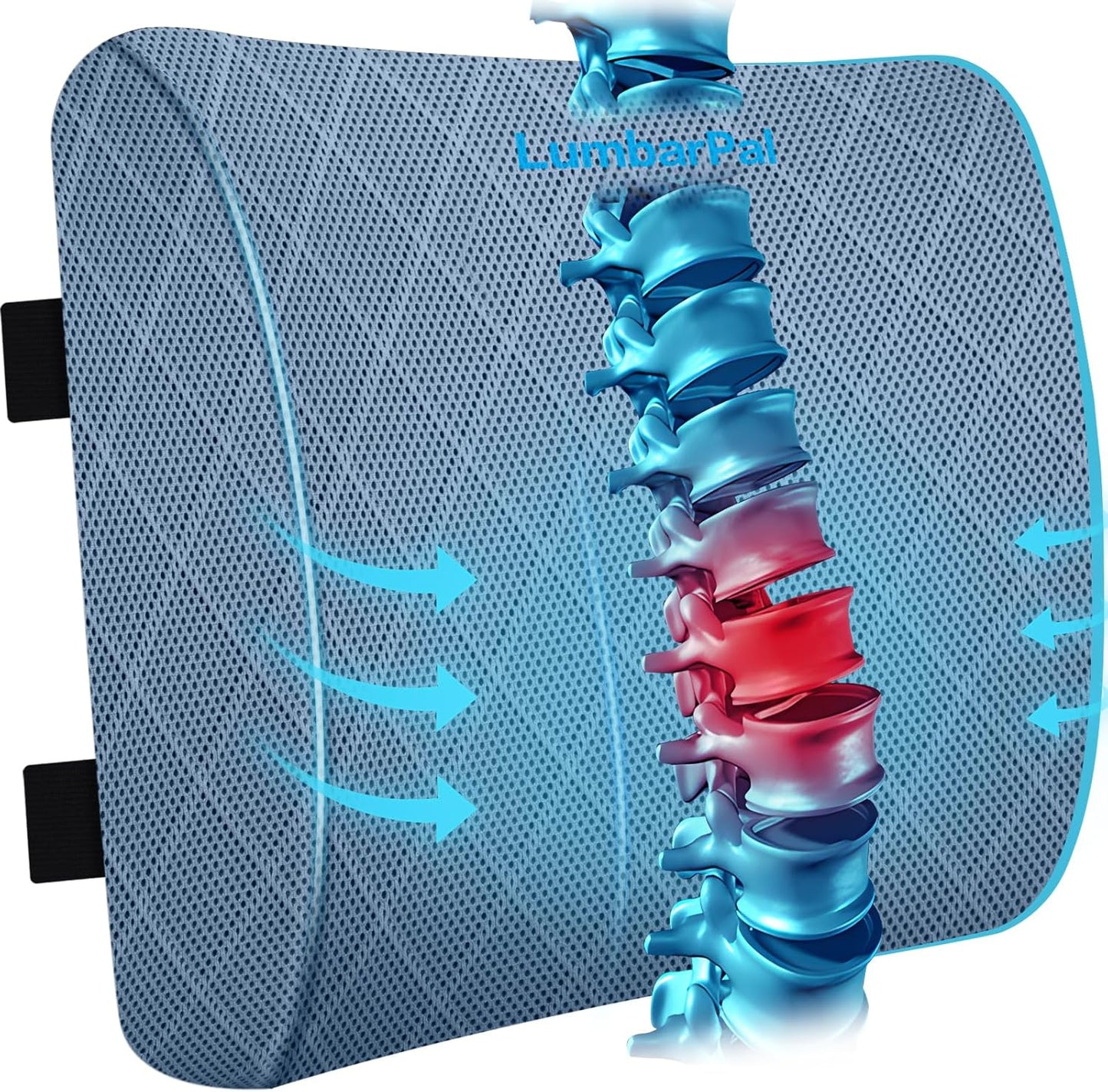 Lumbar Support Pillow for Office Chair Back Support Lumbar Pillow for Car, Gaming, Office Chair - Improve Sitting Posture & Back Pain Relief, Memory Foam, Adjustable Straps, Light Blue