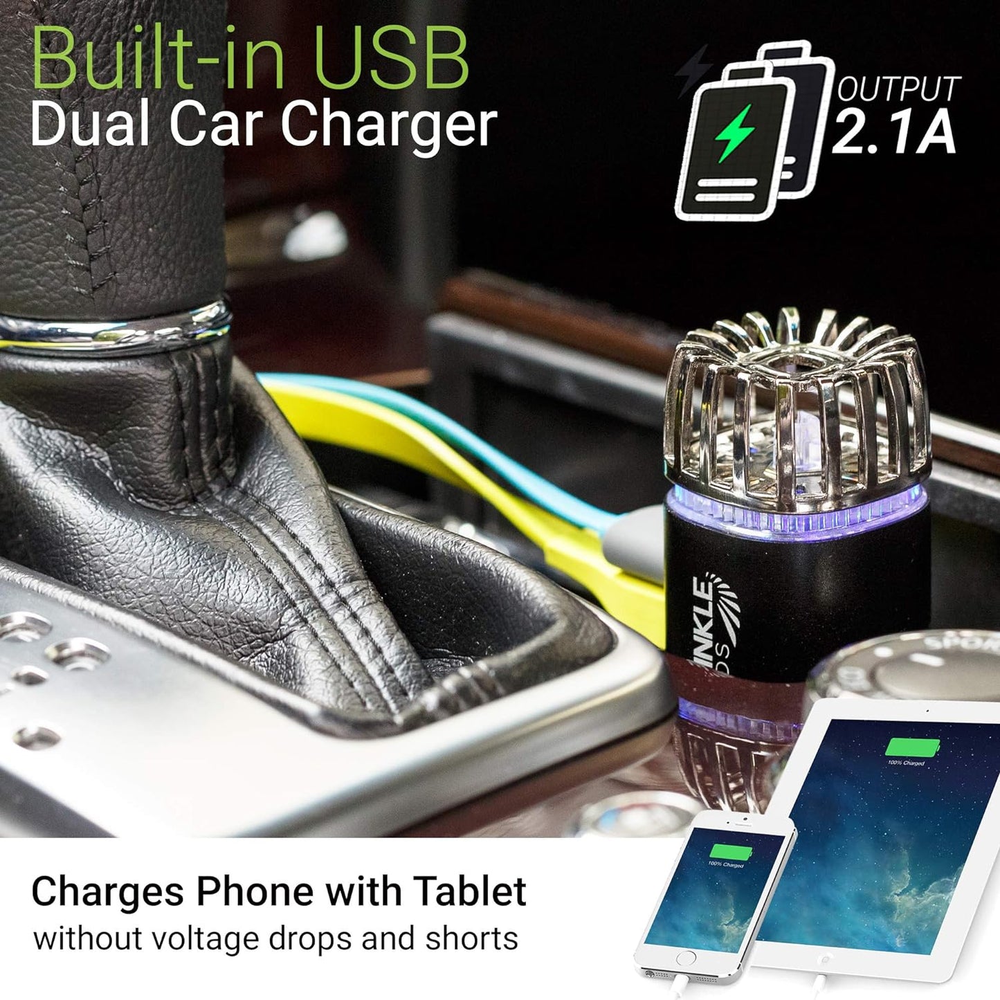 Car Air Purifier Ionizer - 12V Plug-in Ionic Anti-Microbial Car Deodorizer with Dual USB Charger - Smoke Smell, Pet and Food Odors, Allergens, Viruses Eliminator for Car (Matte Black)