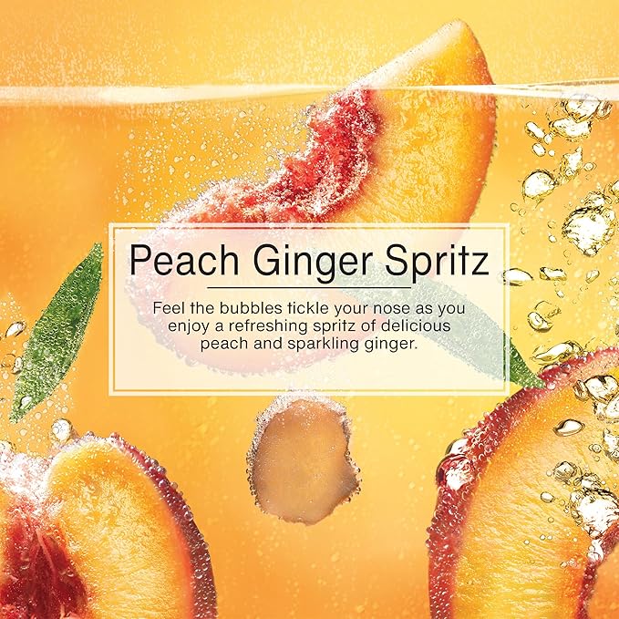 LITTLE TREES Car Air Freshener | Hanging Tree Provides Long Lasting Scent for Auto and Home | Peach Ginger Spritz, 24 Air Fresheners