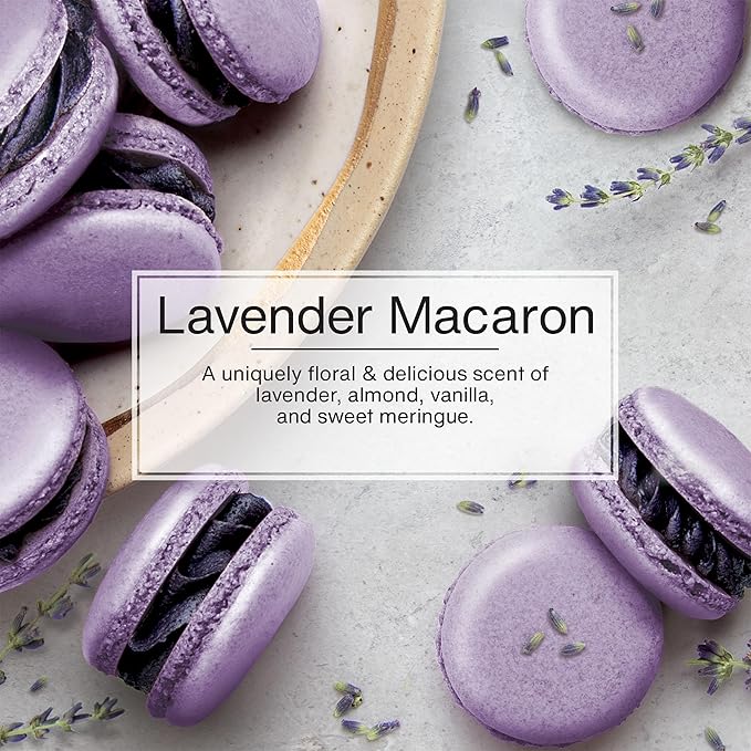 LITTLE TREES Car Air Freshener | Hanging Tree Provides Long Lasting Scent for Auto and Home | Lavender Macaron, 24 Air Fresheners